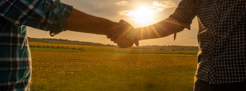 Jak przebiega współpraca z A.D.I. Ogrodzenia?